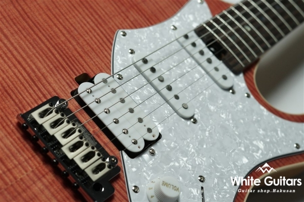 Evergreen 714-AE200 - MP